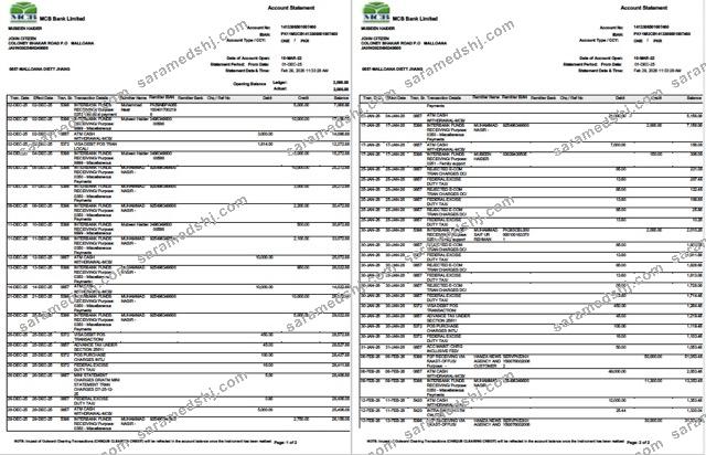 Pakistan MCB Bank account statement Word and PDF template, 2 pages